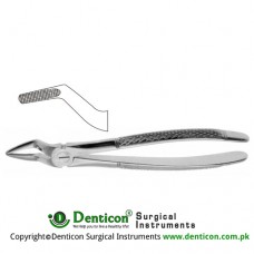 English Pattern Tooth Extracting Forcep Fig. 51 (For Upper Wisdoms) Stainless Steel, Standard